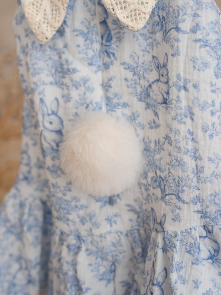 The Little Bunny Story Dress - Blue