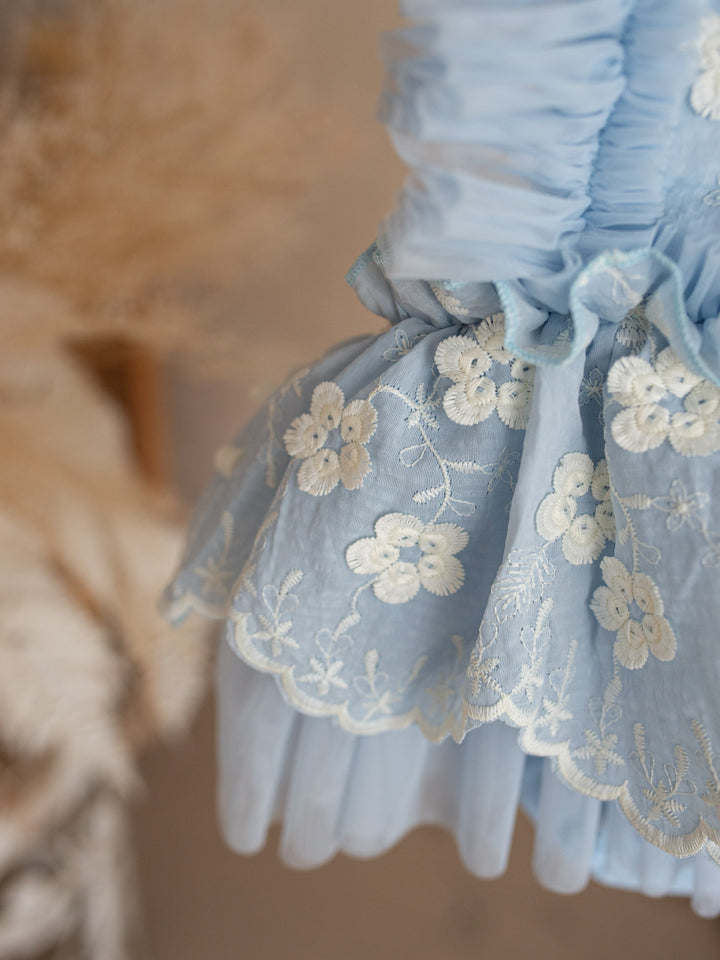 Where Flowers Grow - Blue