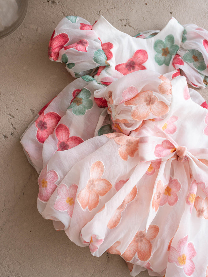 Paint Me a Garden Blush Petals baby girl floral organza dress - Before & Ever Kids