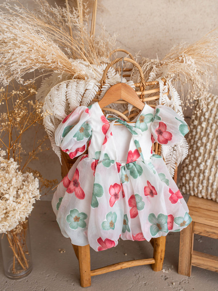 Paint Me a Garden Scarlet Bloom baby girl red floral organza dress - Before & Ever Kids