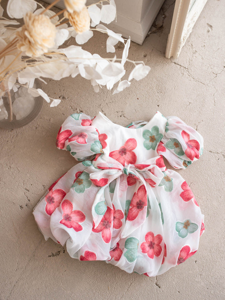Paint Me a Garden Scarlet Bloom baby girl red floral organza dress - Before & Ever Kids