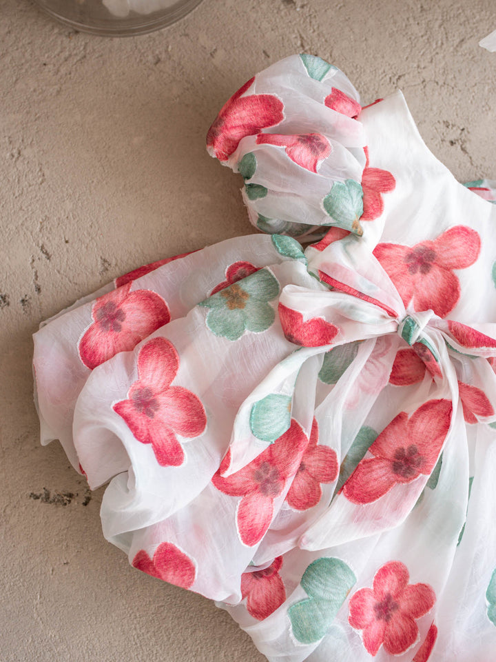 Paint Me a Garden Scarlet Bloom baby girl red floral organza dress - Before & Ever Kids