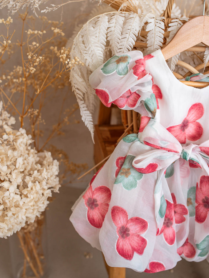 Paint Me a Garden Scarlet Bloom baby girl red floral organza dress - Before & Ever Kids